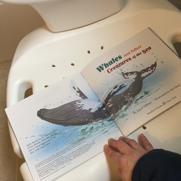 “Whales and Other Creatures of the Sea” kids book - Picture 14 of 16